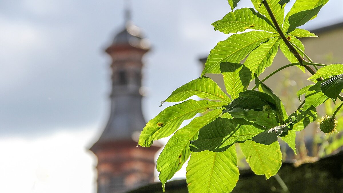 Klimaschutz rund um den Kirchturm
